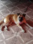 mel