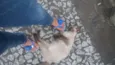 Lilica
