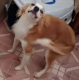 Bili