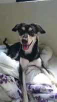Mel