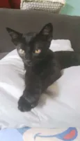Morgana