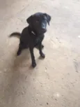 LUPI