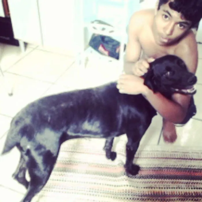 Cachorro ra a dalmata com viralata idade 3 anos nome pantera