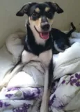 Mel