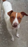Fuleka