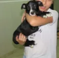 sem nome