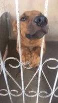 não tem