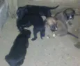 ..