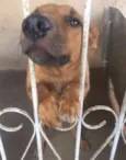não tem