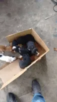 A espera de um nome