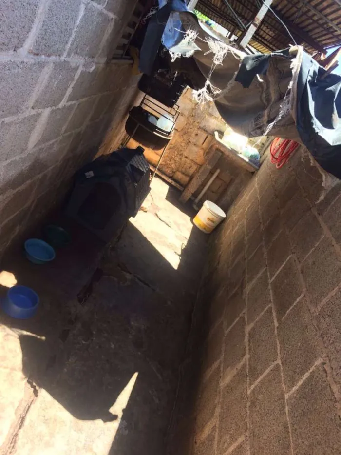 Cachorro ra a viralata idade 2 a 6 meses nome Betinho