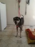 Kadu