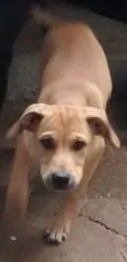 Ted