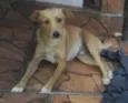 Amarelo