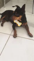 Pretinho