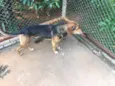 Billy