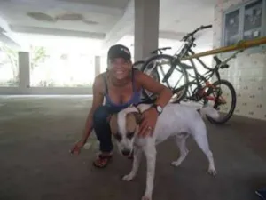 Cachorro raça nao definida idade 6 ou mais anos nome Jó GRATIFICA