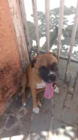 Sjrp- Boa Vista