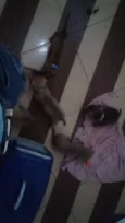 Cachorrinhos 