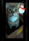 Fofinho