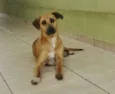 Lorenzo