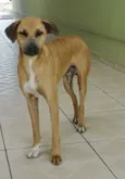 Lorenzo
