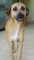 Lorenzo