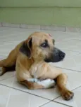 Lorenzo