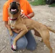 Laika