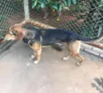 Billy