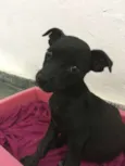 Bolinha