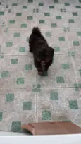 Tom