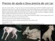 Zeus