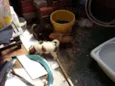 cachorrinhos