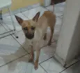 Bella