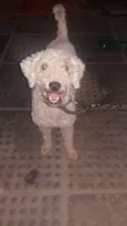 Não sei