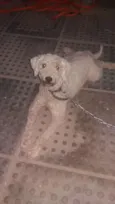 Não sei
