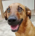 Pierre