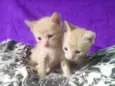 Chronos e Loki