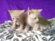Chronos e Loki