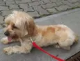 Desconhecido