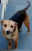 Babi e bianca