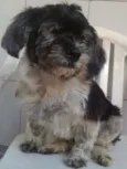milly