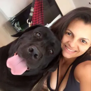 Cachorro raça Labrador  idade 5 anos nome Pandora