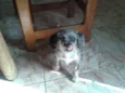 Bolota