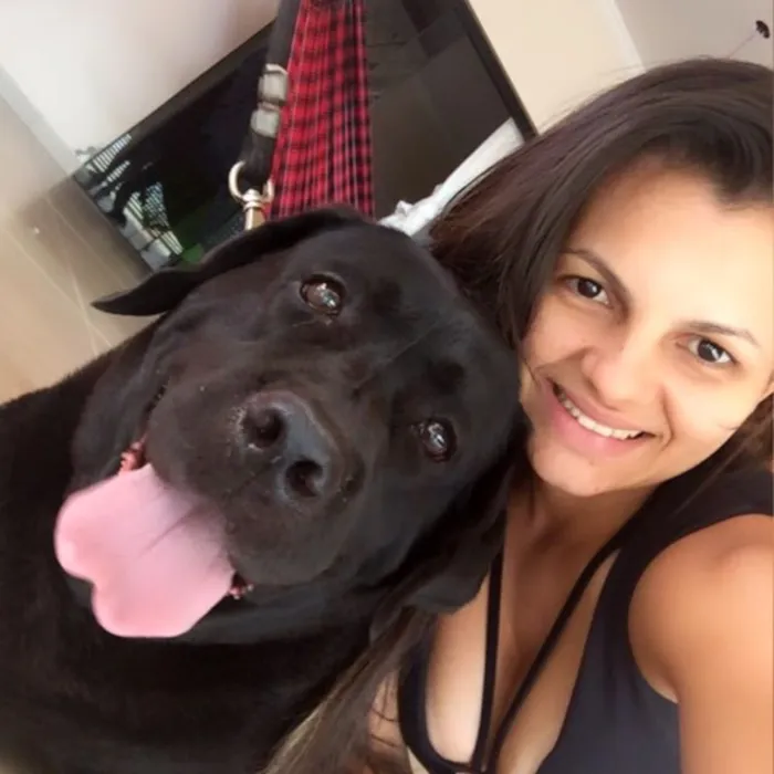 Cachorro ra a LABRADOR  idade 5 anos nome PANDORA