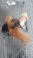 Hope, Yoko e Raiden.