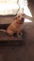 Fofinha