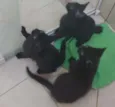 Não tem nomes ainda