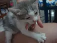 nao tem nomes